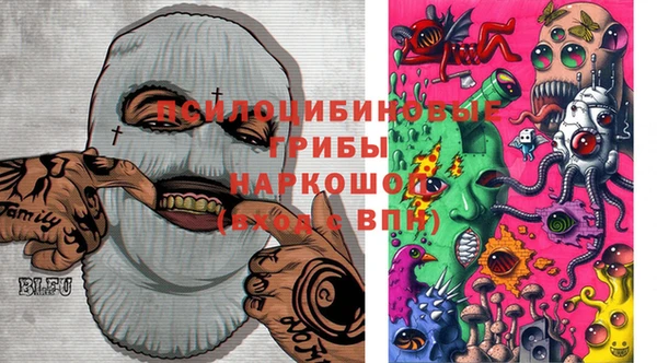 гидропоника Абаза