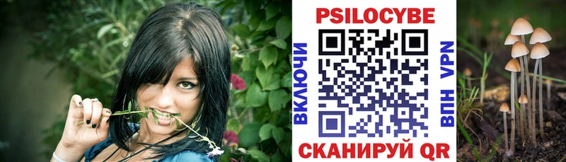 наркотики  мега как войти  Псилоцибиновые грибы Psilocybe  Гусиноозёрск 